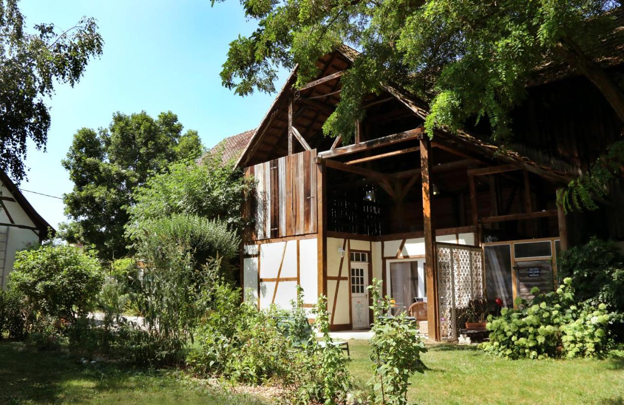 Le Sechoir Du Ried Apartment Rossfeld ภายนอก รูปภาพ