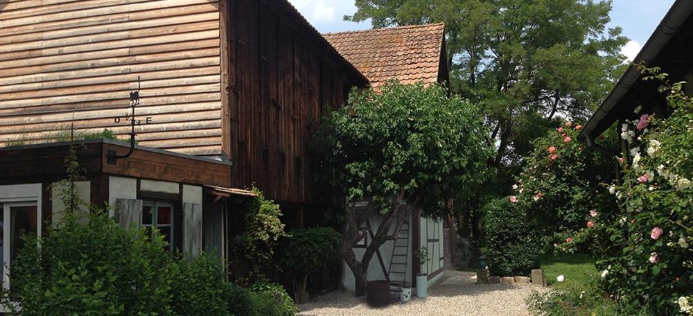 Le Sechoir Du Ried Apartment Rossfeld ภายนอก รูปภาพ