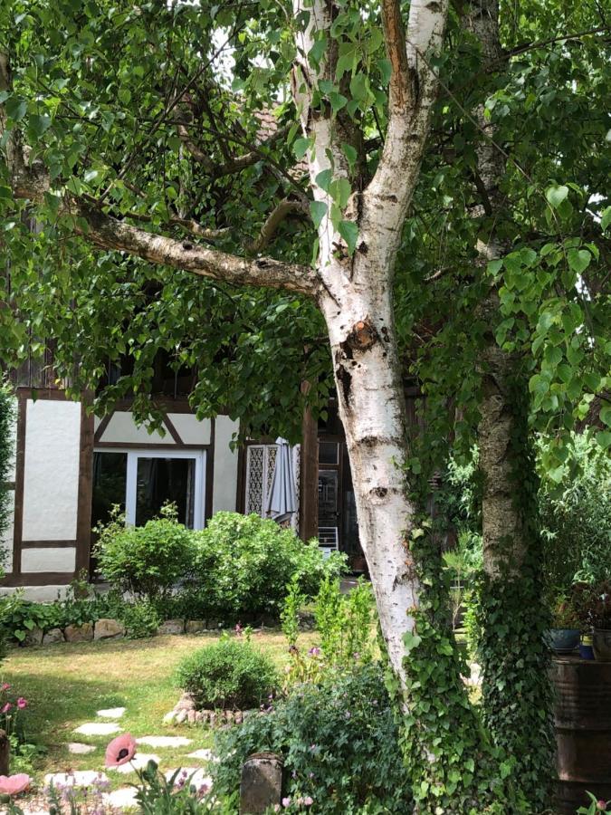 Le Sechoir Du Ried Apartment Rossfeld ภายนอก รูปภาพ